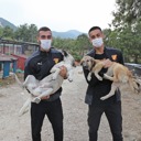 Barınaktaki Dostlarımızı Ziyaret Ettik