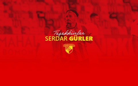 Teşekkürler Serdar