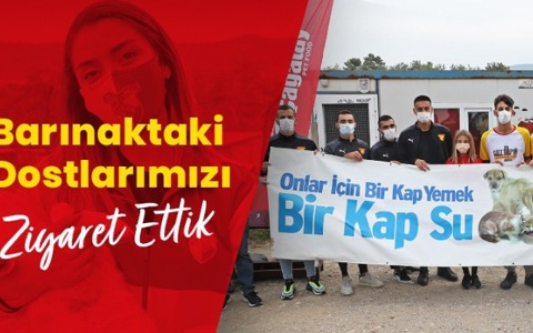 Barınaktaki Dostlarımızı Ziyaret Ettik